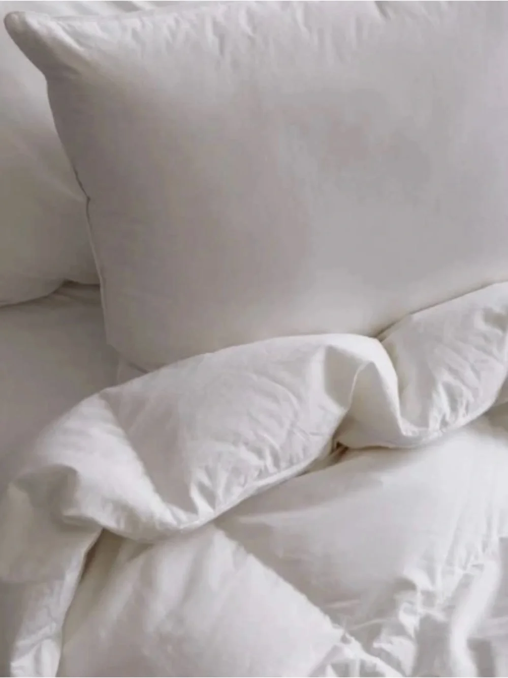 Quince Ultra-Warm Comforter in White NWT King